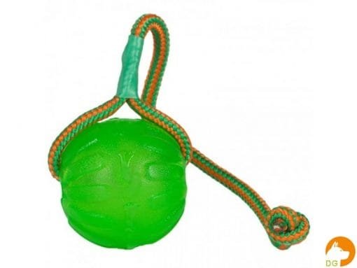 STA16-chew-ball-met-koord.jpg