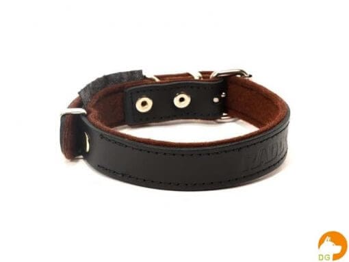 T01025-2-lederen-halsband-breed.jpg
