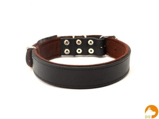 T01025-4-lederen-halsband-breed.jpg