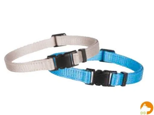 halsband puppy