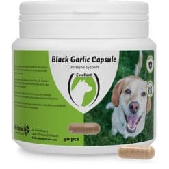 Black Garlic capsule Hond 90pc