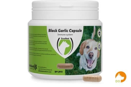 Black Garlic capsule Hond 90pc