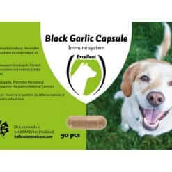 Black Garlic capsule Hond front
