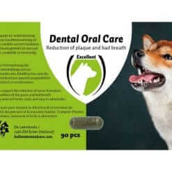 Dental Oral Care Hond 90st front