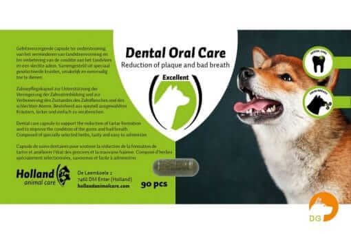 Dental Oral Care Hond 90st front