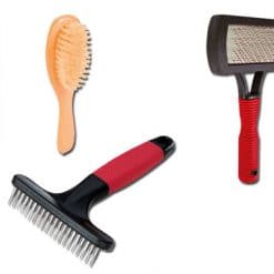 Borstels en kammen