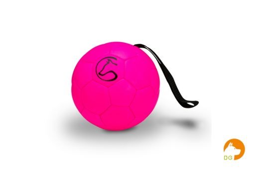 Trainingsbal 16cm met handlus pink