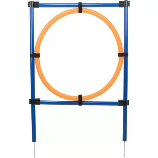 Fun Agility Ring