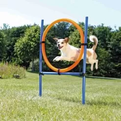 Fun Agility Ring Voorbeeld 1
