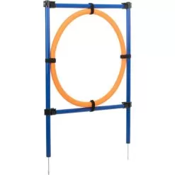 Fun Agility Ring side